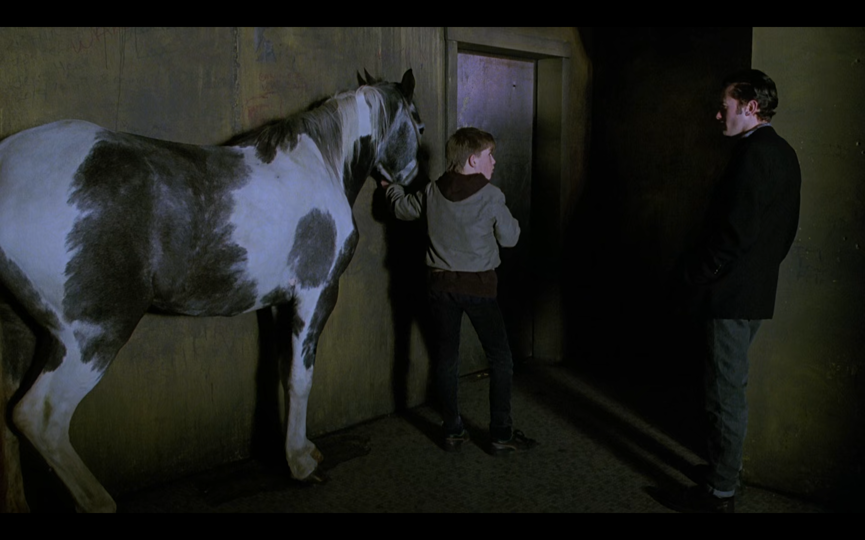 追梦者剧照的剧照