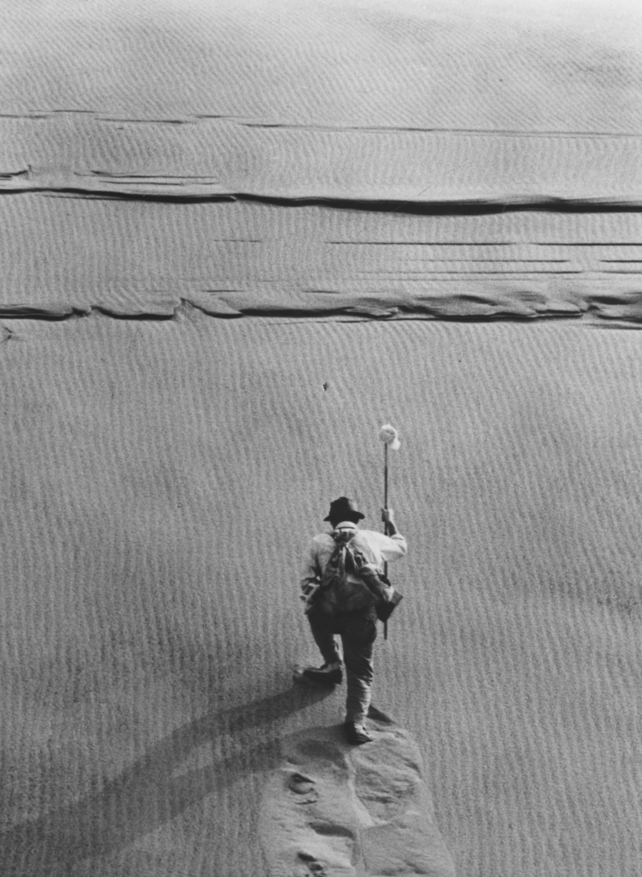 砂之女剧照的剧照