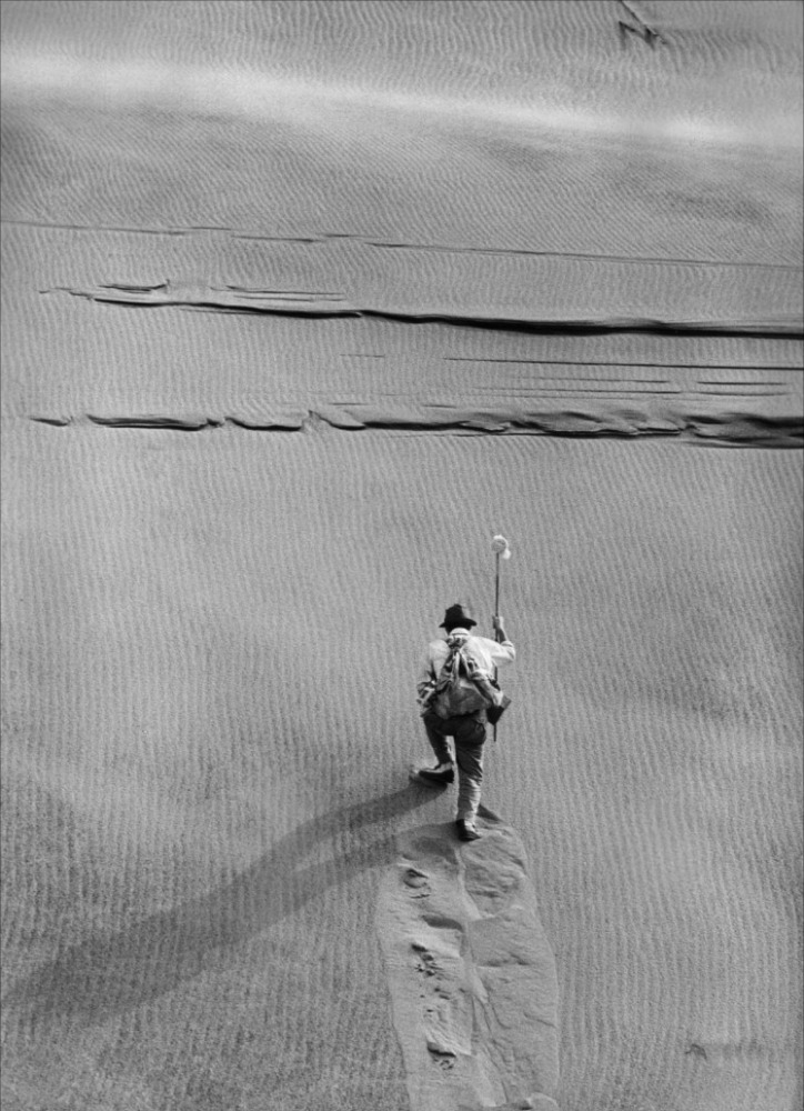 砂之女剧照的剧照