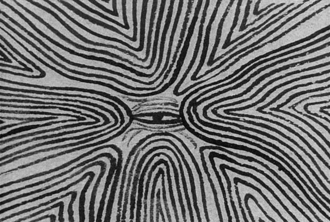 砂之女剧照的剧照