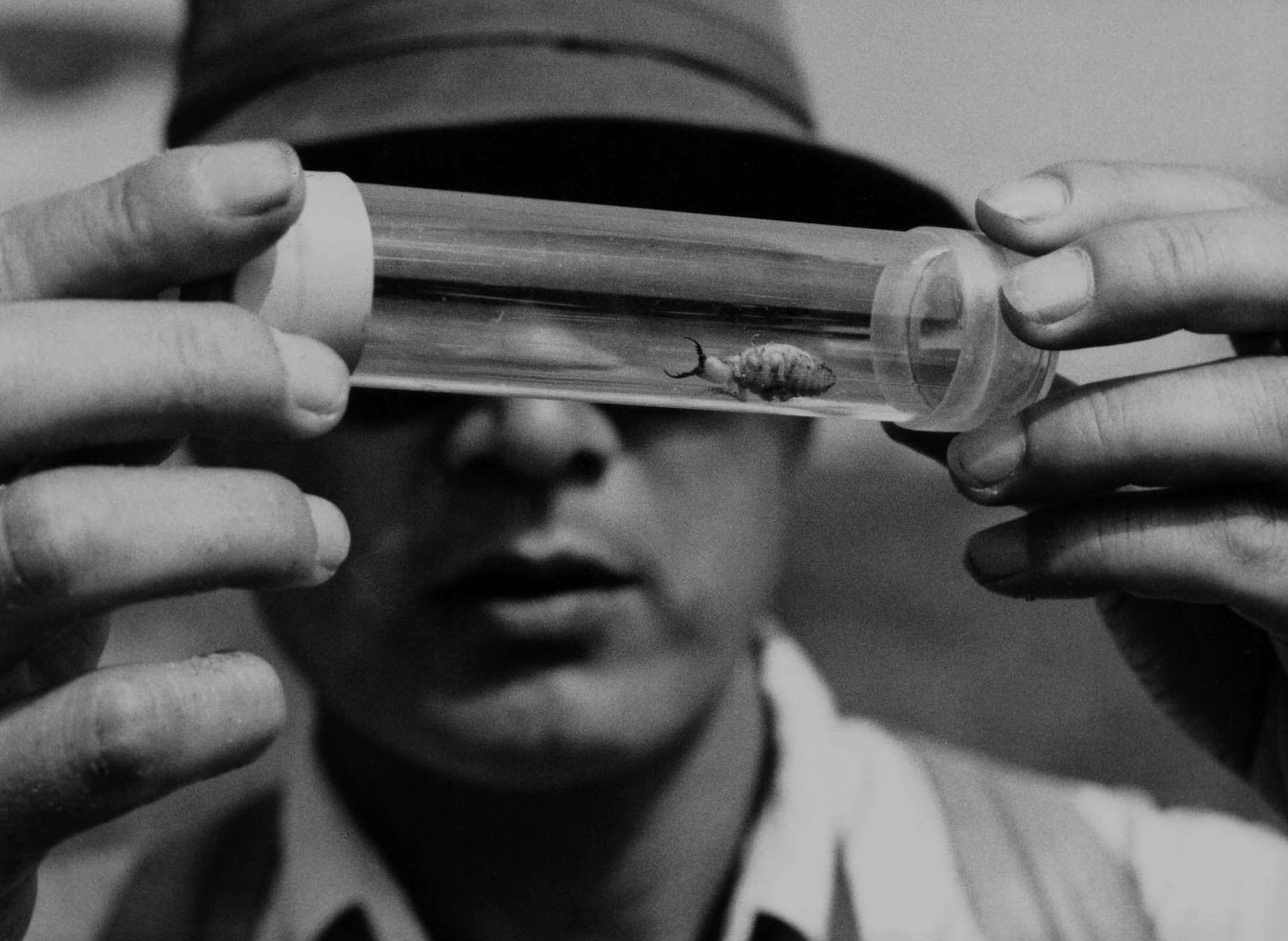 砂之女剧照的剧照