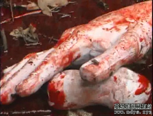 杀手的袭击剧照的剧照