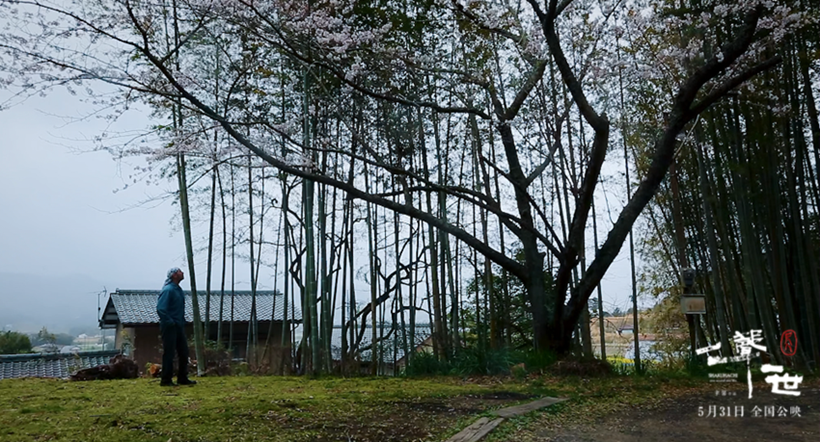 尺八·一声一世剧照的剧照