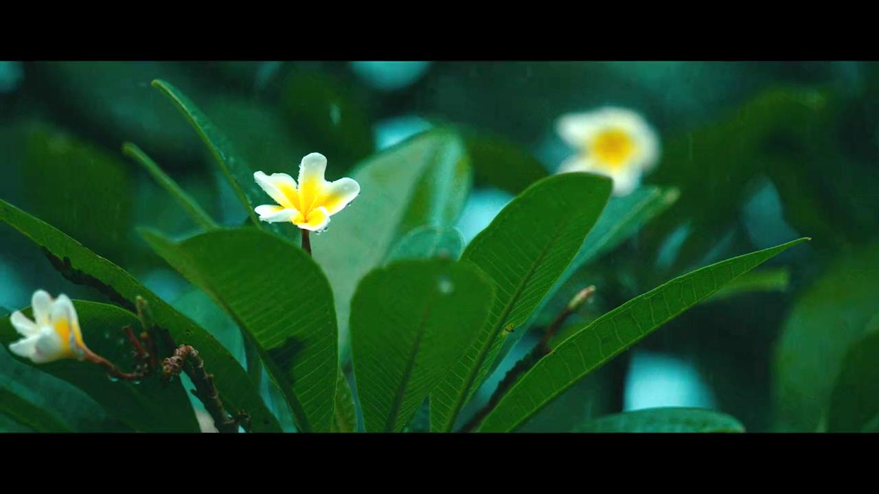 倾城十月剧照的剧照