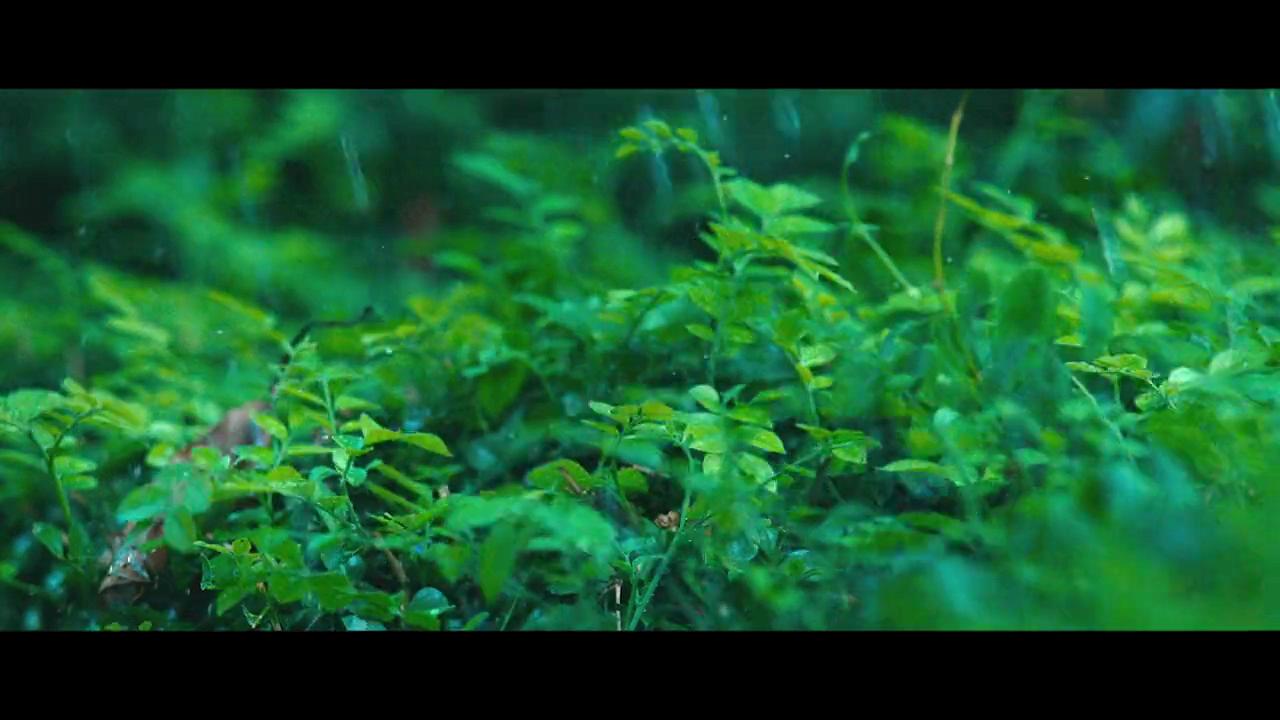 倾城十月剧照的剧照