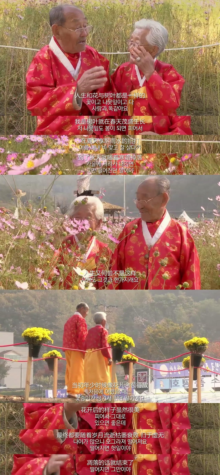 亲爱的，不要跨过那条江剧照的剧照