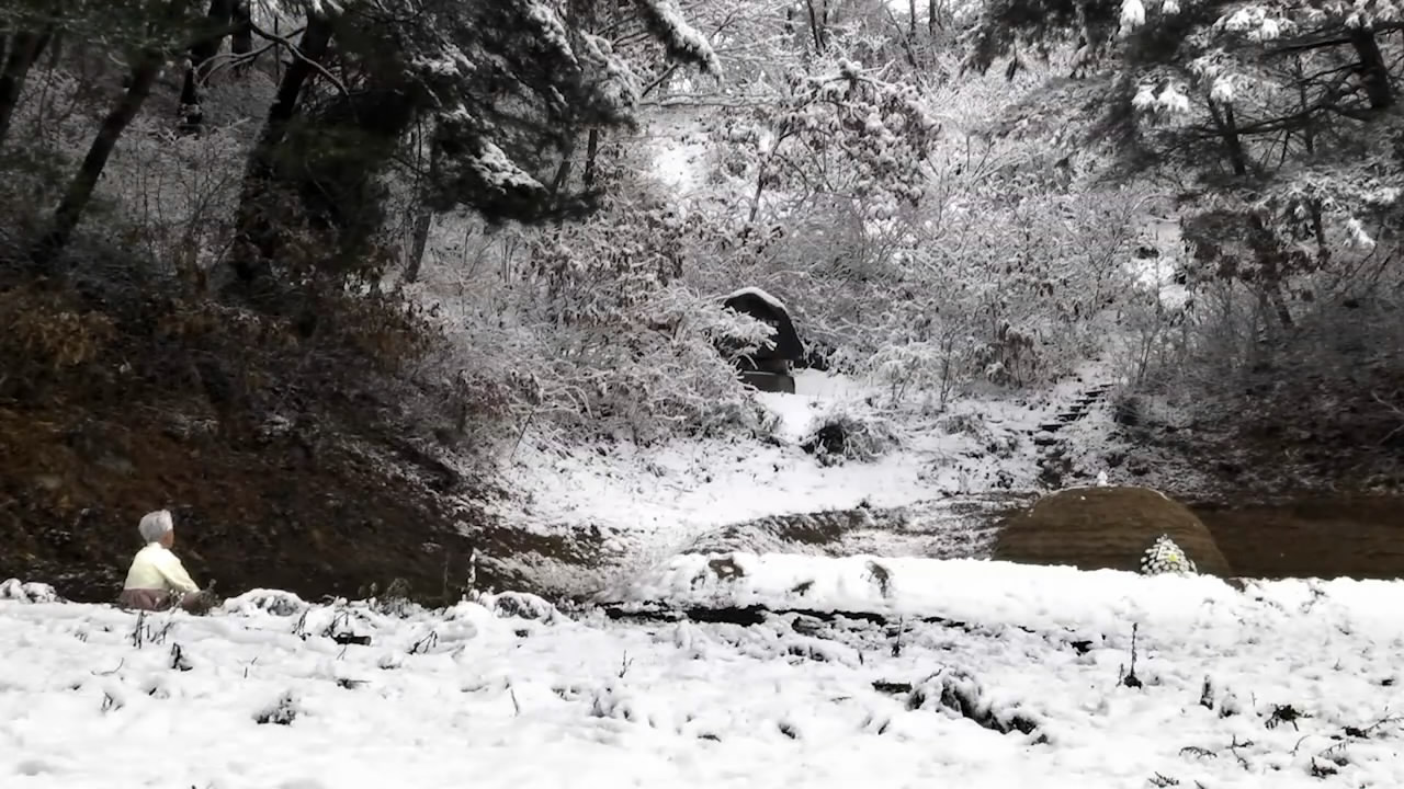 亲爱的，不要跨过那条江剧照的剧照