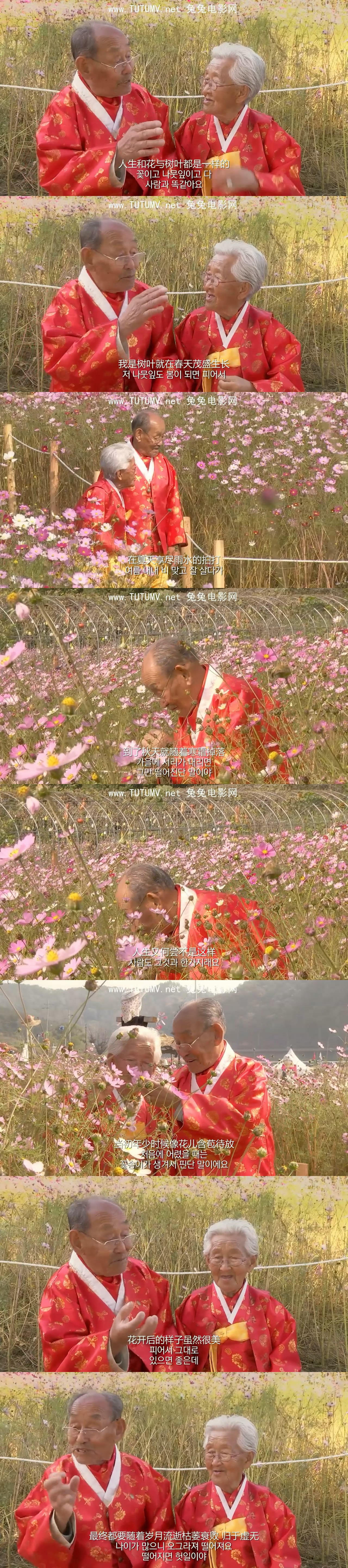 亲爱的，不要跨过那条江剧照的剧照