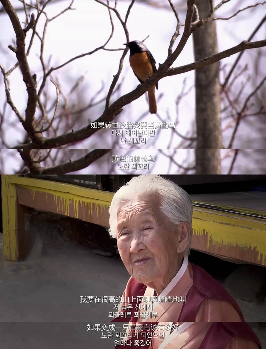 亲爱的，不要跨过那条江剧照的剧照