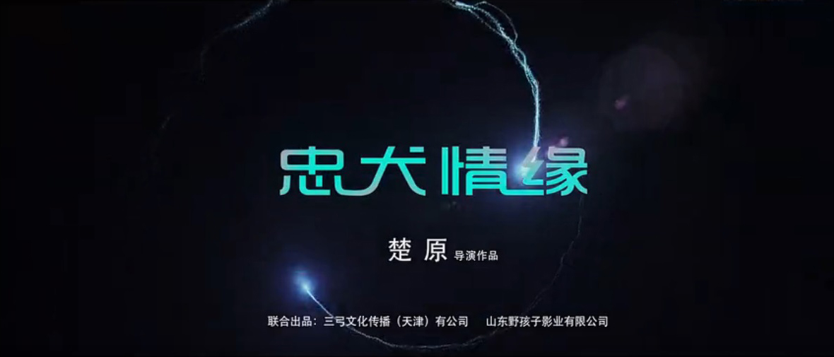 忠犬情缘剧照的剧照