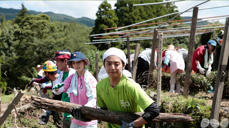 苦中带甜 希望之茶剧照的剧照