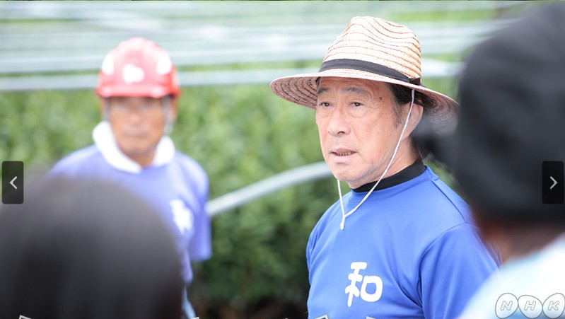 苦中带甜 希望之茶剧照的剧照