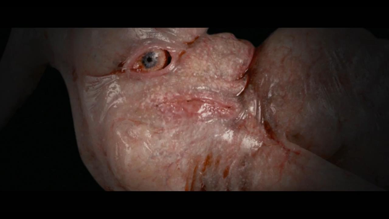 凶机恶煞剧照的剧照