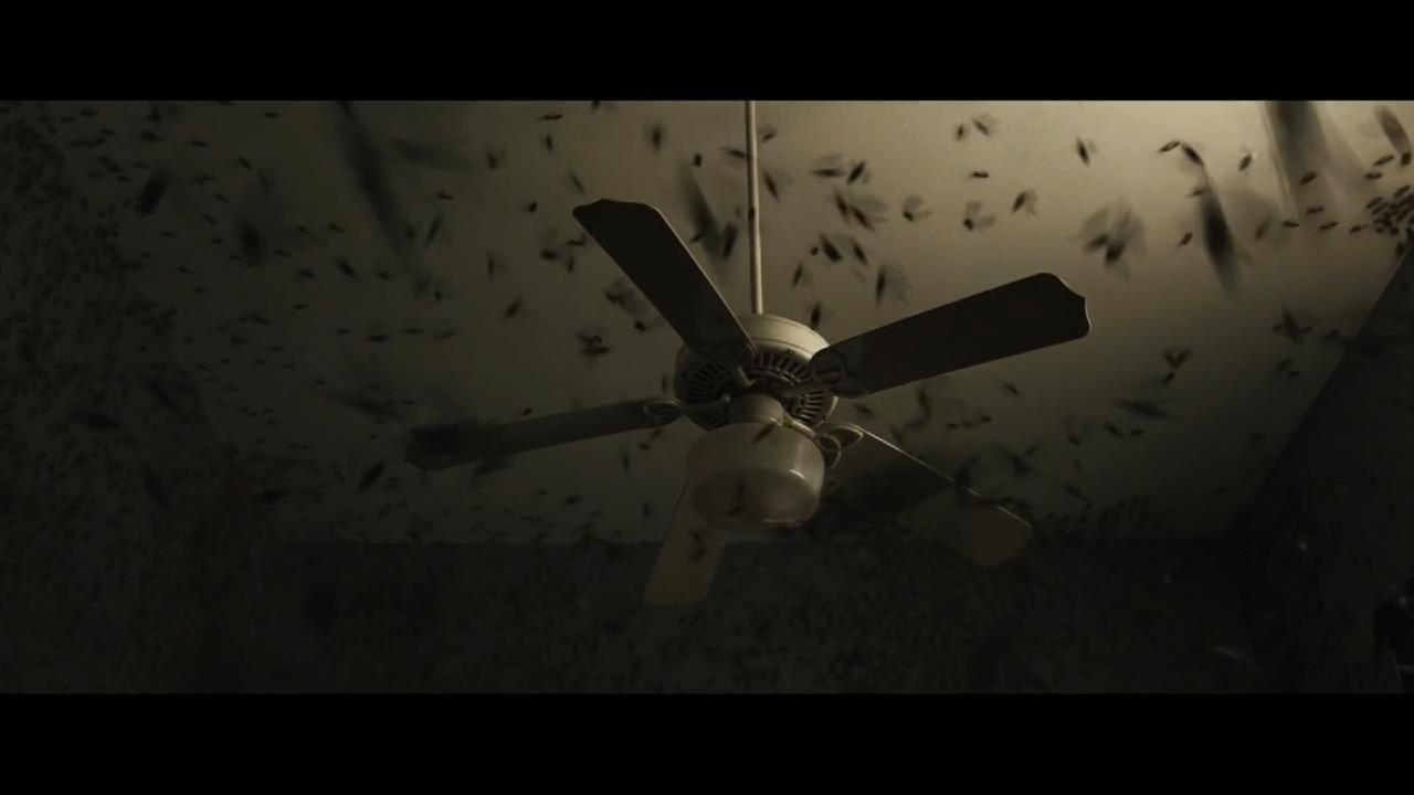 凶机恶煞剧照的剧照