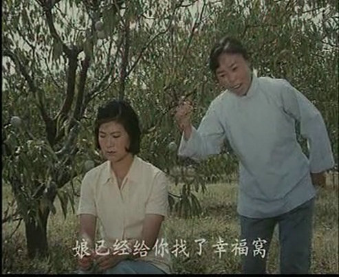 桃园喜剧照的剧照