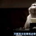 地平线系列：无穷及超越剧照