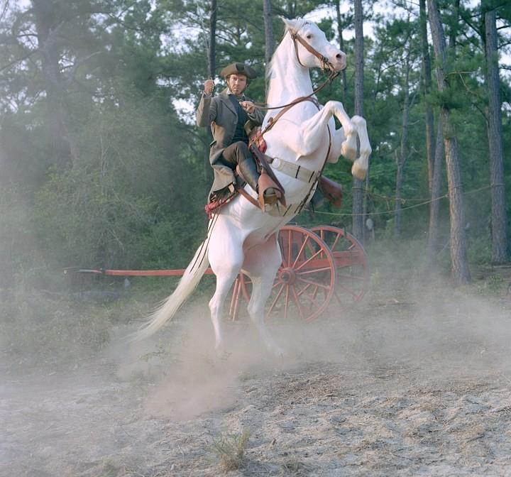 边城英烈传剧照的剧照