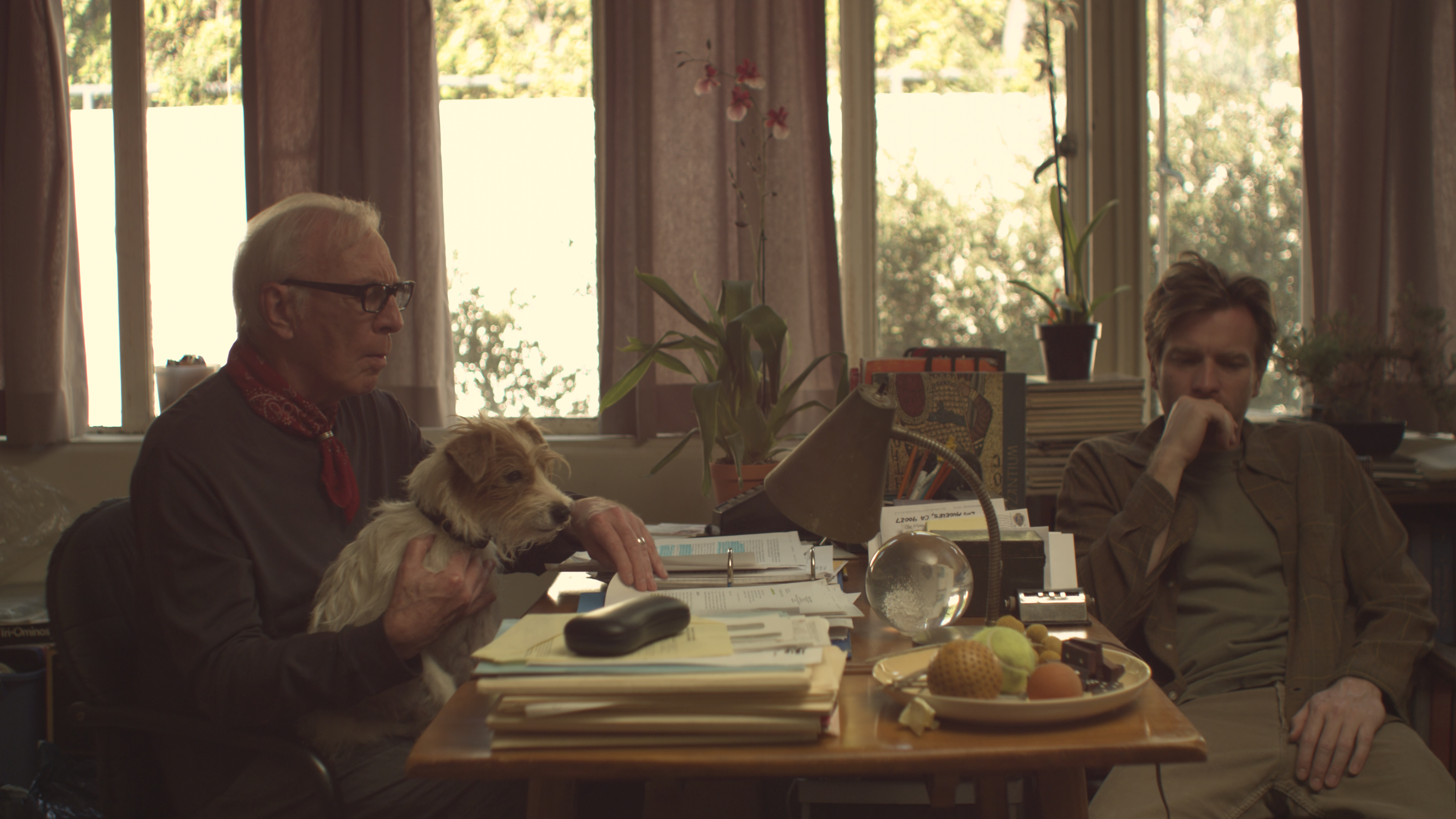 初学者剧照的剧照