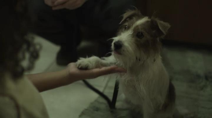 初学者剧照的剧照