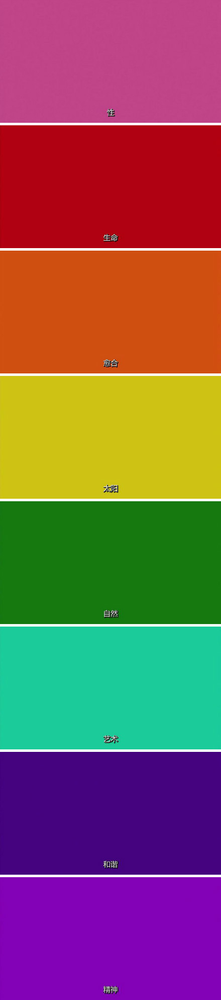 初学者剧照的剧照