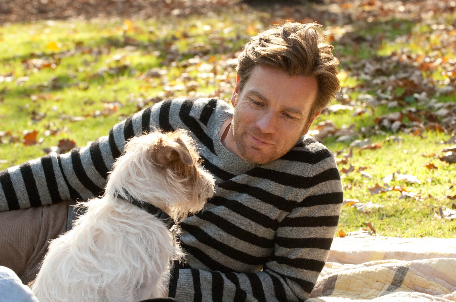 初学者剧照的剧照