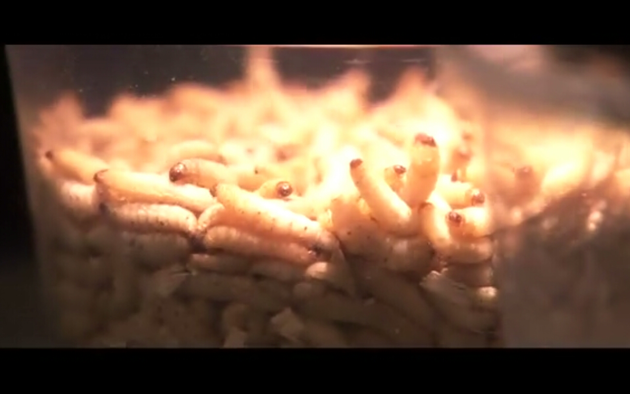 恶灵空间2剧照的剧照