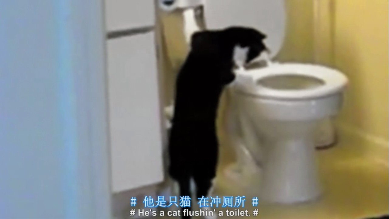 资本主义：一个爱情故事剧照的剧照