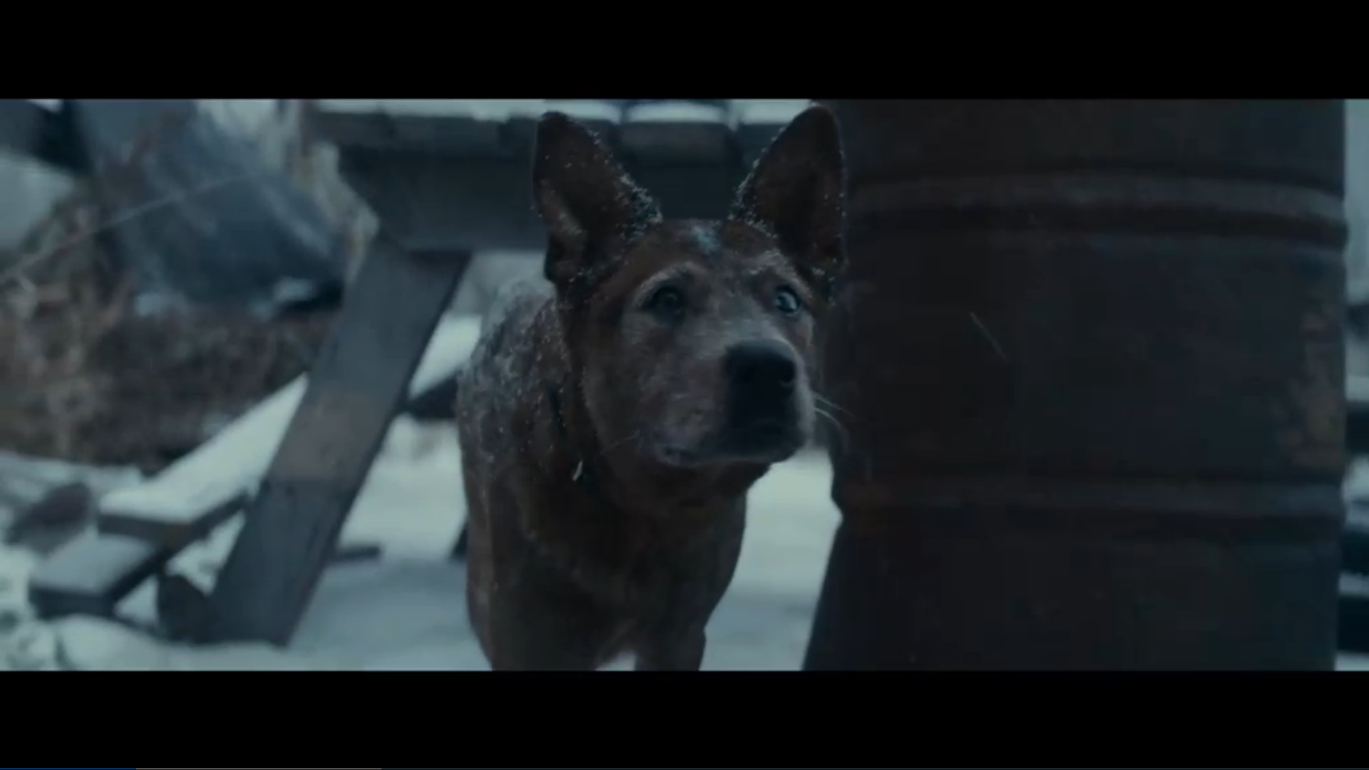 断裂剧照的剧照