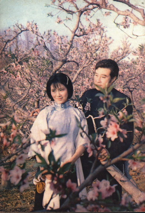 伤逝剧照的剧照