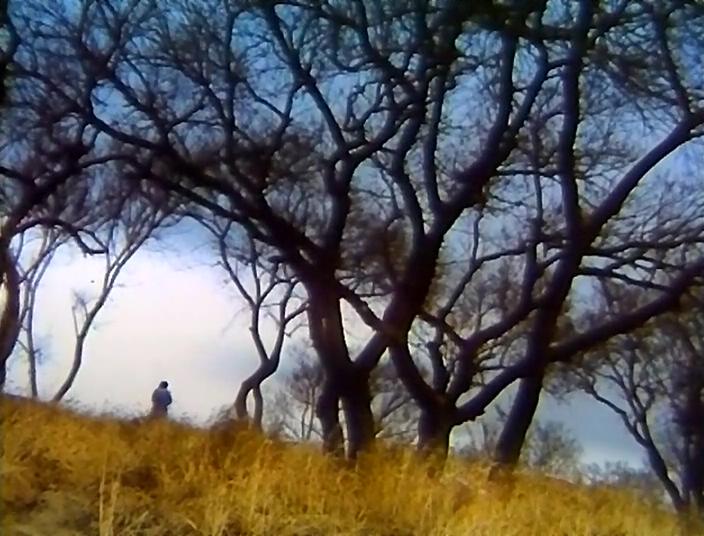 伤逝剧照的剧照