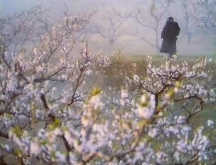 伤逝剧照的剧照