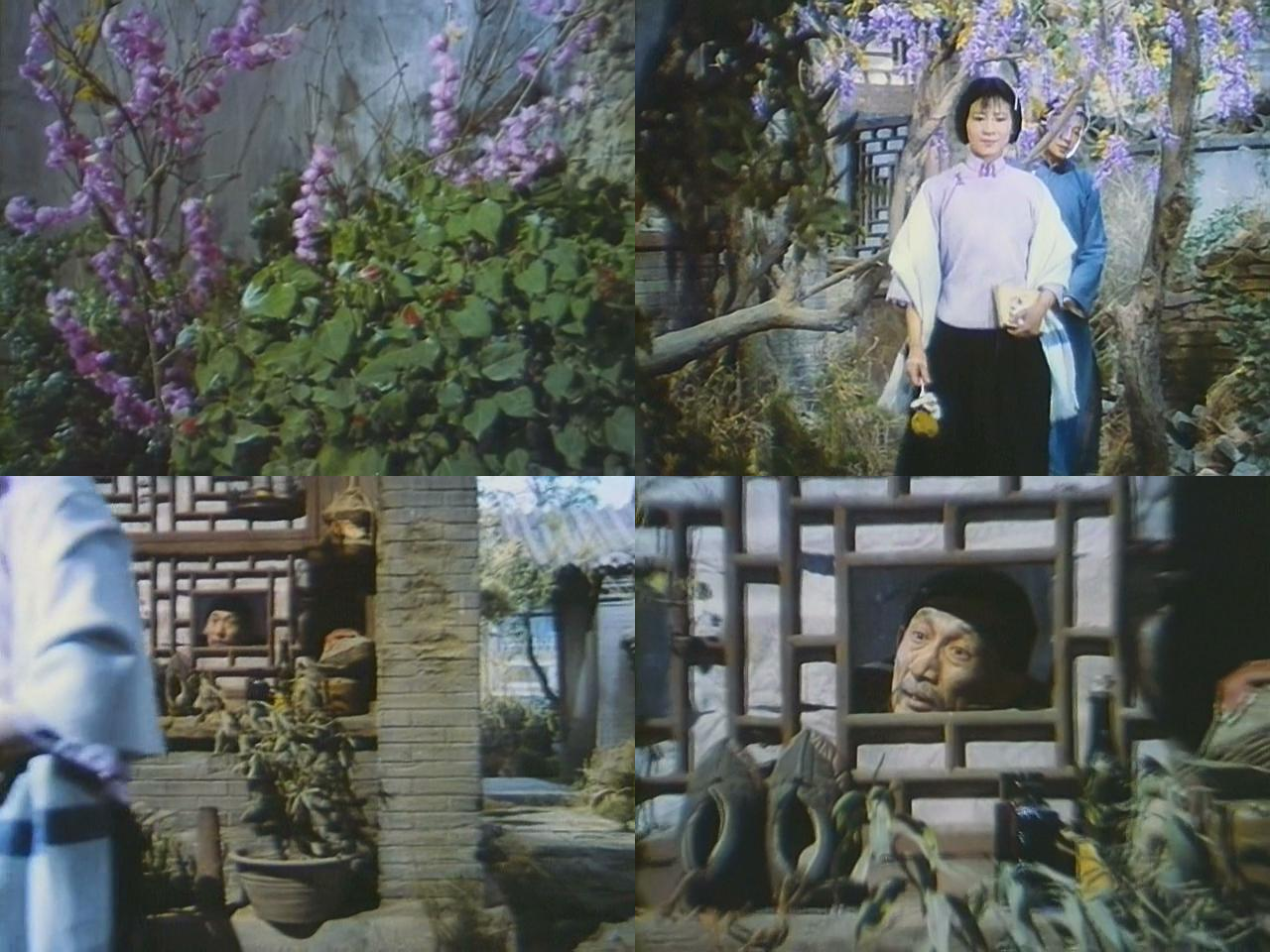 伤逝剧照的剧照