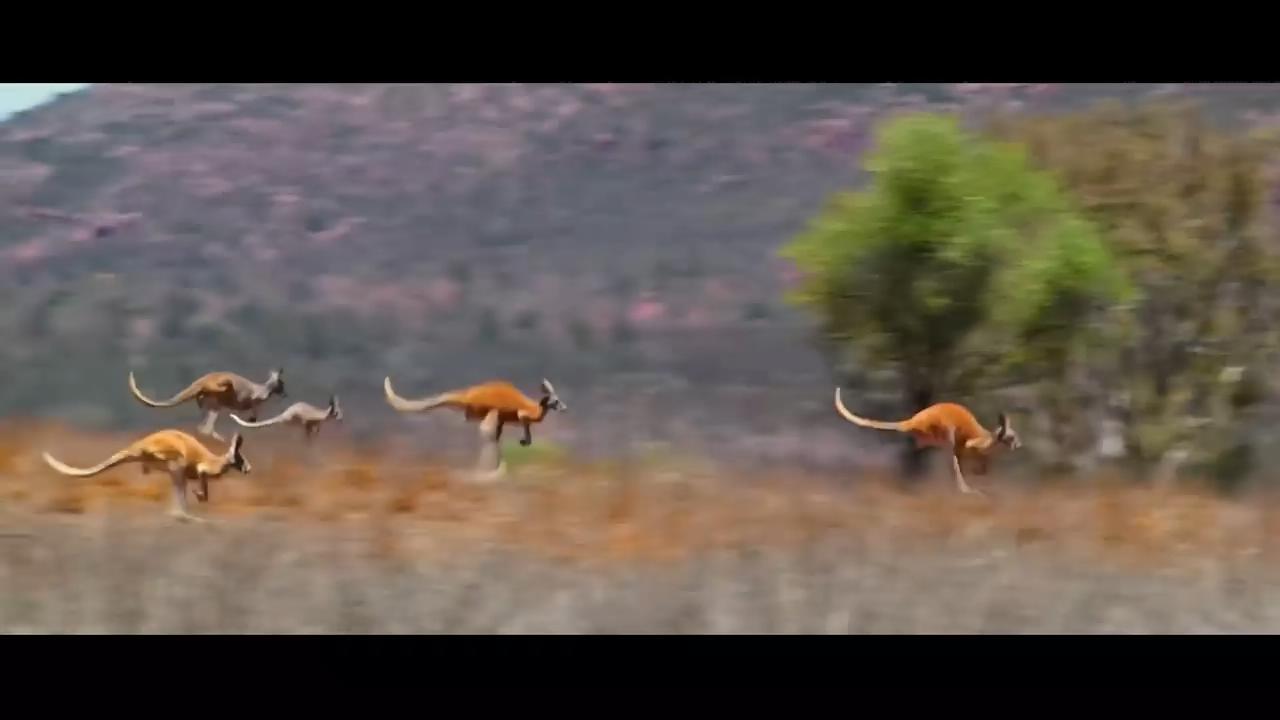 狼溪2剧照的剧照