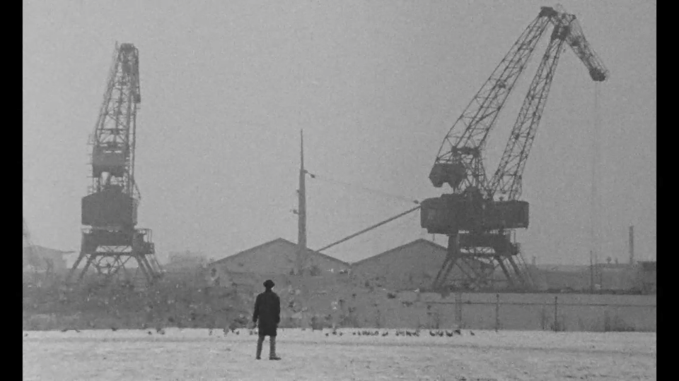 谁见他死去剧照的剧照