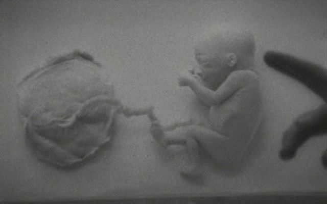 谁见他死去剧照的剧照