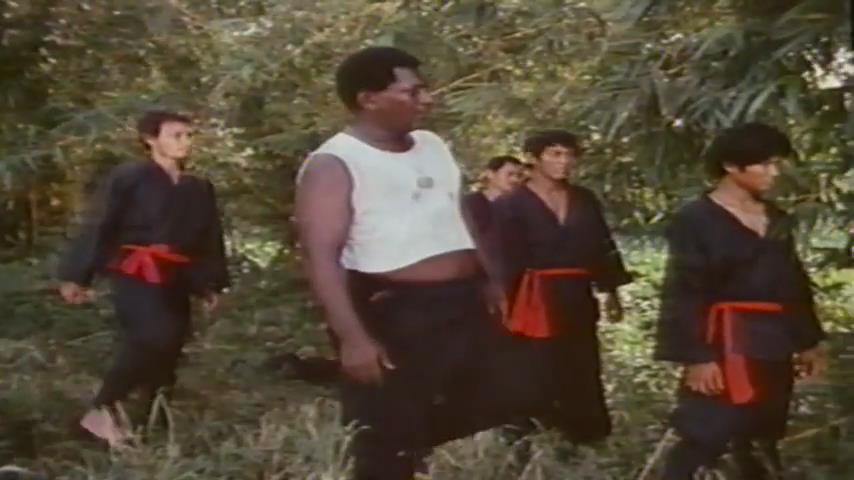 忍者刺客剧照的剧照