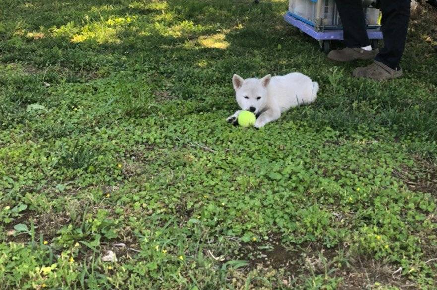 我家的执事如是说剧照的剧照