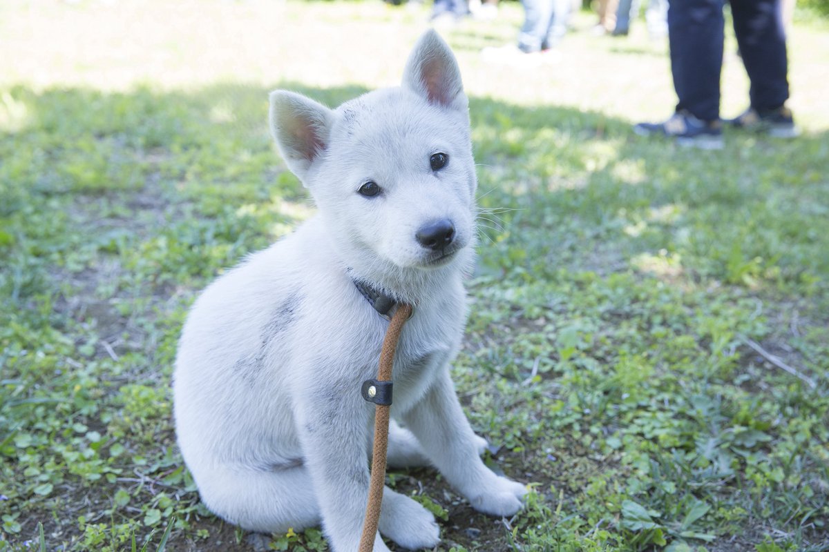 我家的执事如是说剧照的剧照