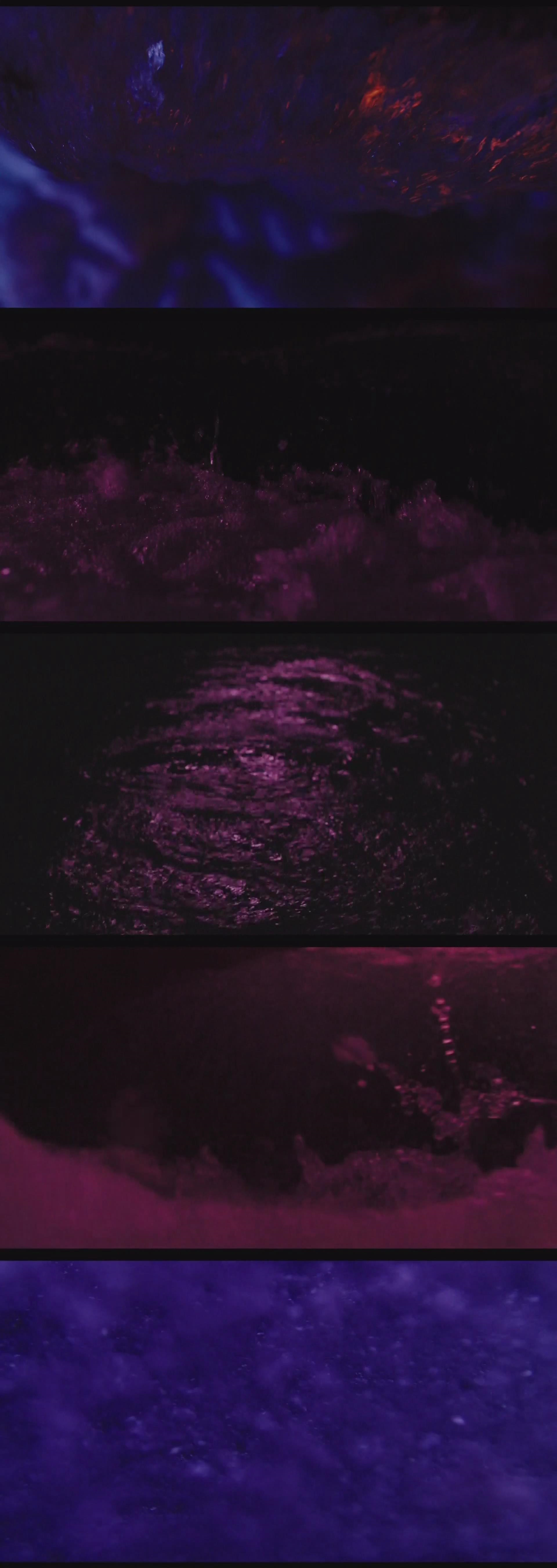 人间失格：太宰治和三个女人们剧照的剧照