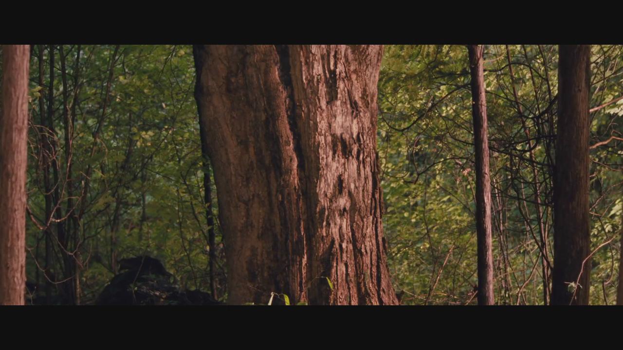 街尾之宅剧照的剧照