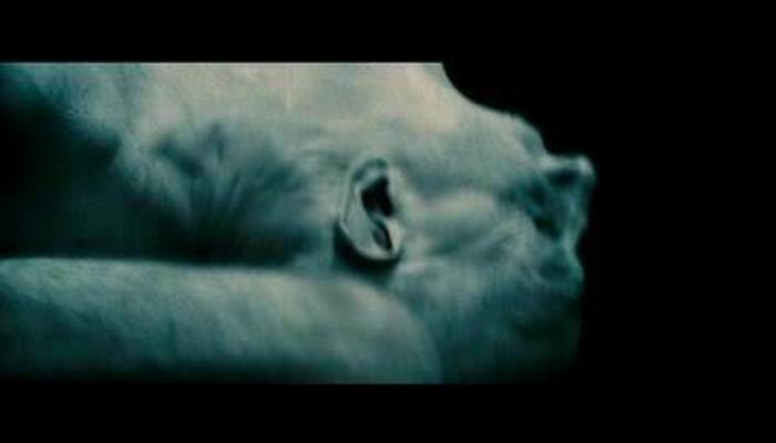 惹鬼回路剧照的剧照