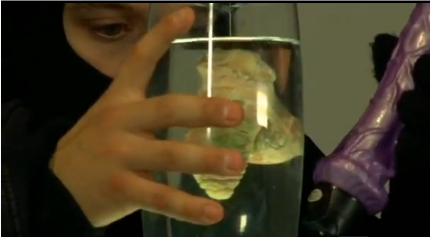 他们抢了希特勒的鸡巴剧照的剧照