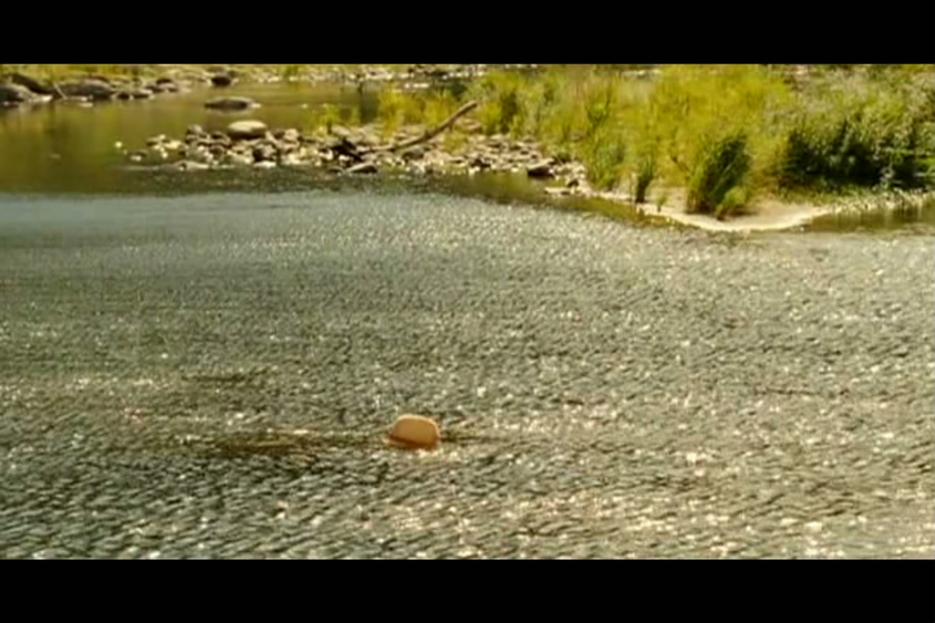 再见初恋剧照的剧照