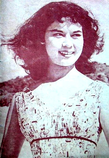 菊子姑娘剧照的剧照