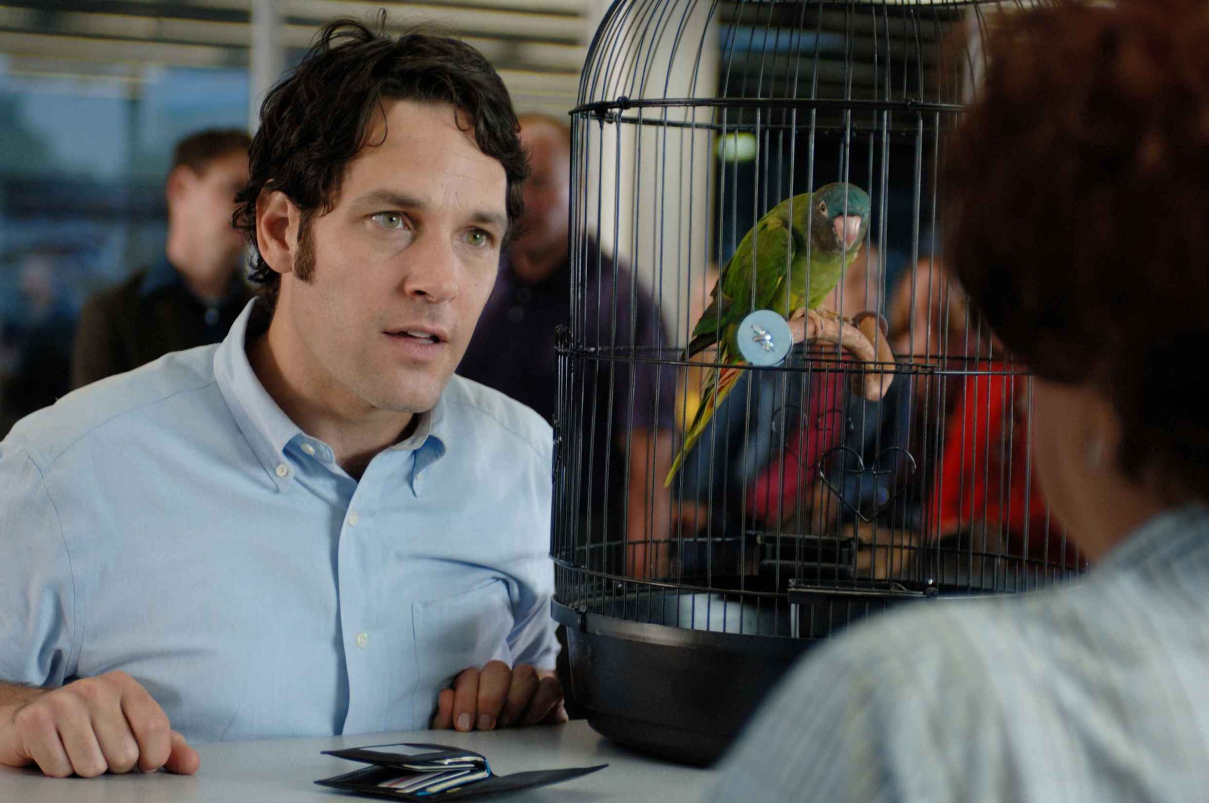 我去世的吃醋女友剧照的剧照