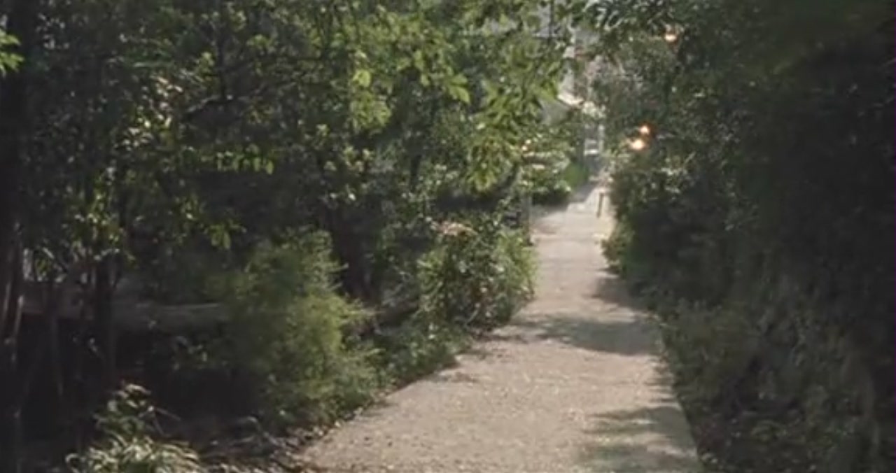 沙罗双树剧照的剧照