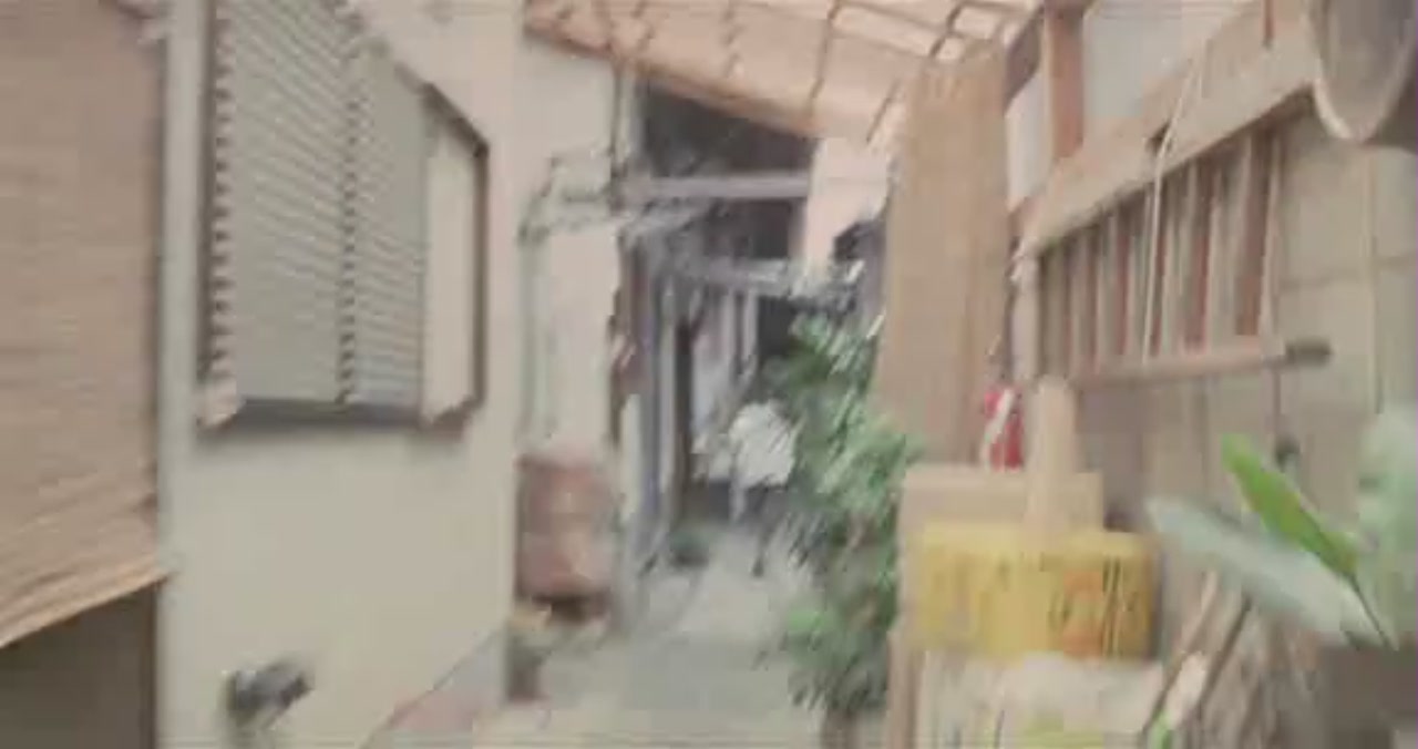 沙罗双树剧照的剧照