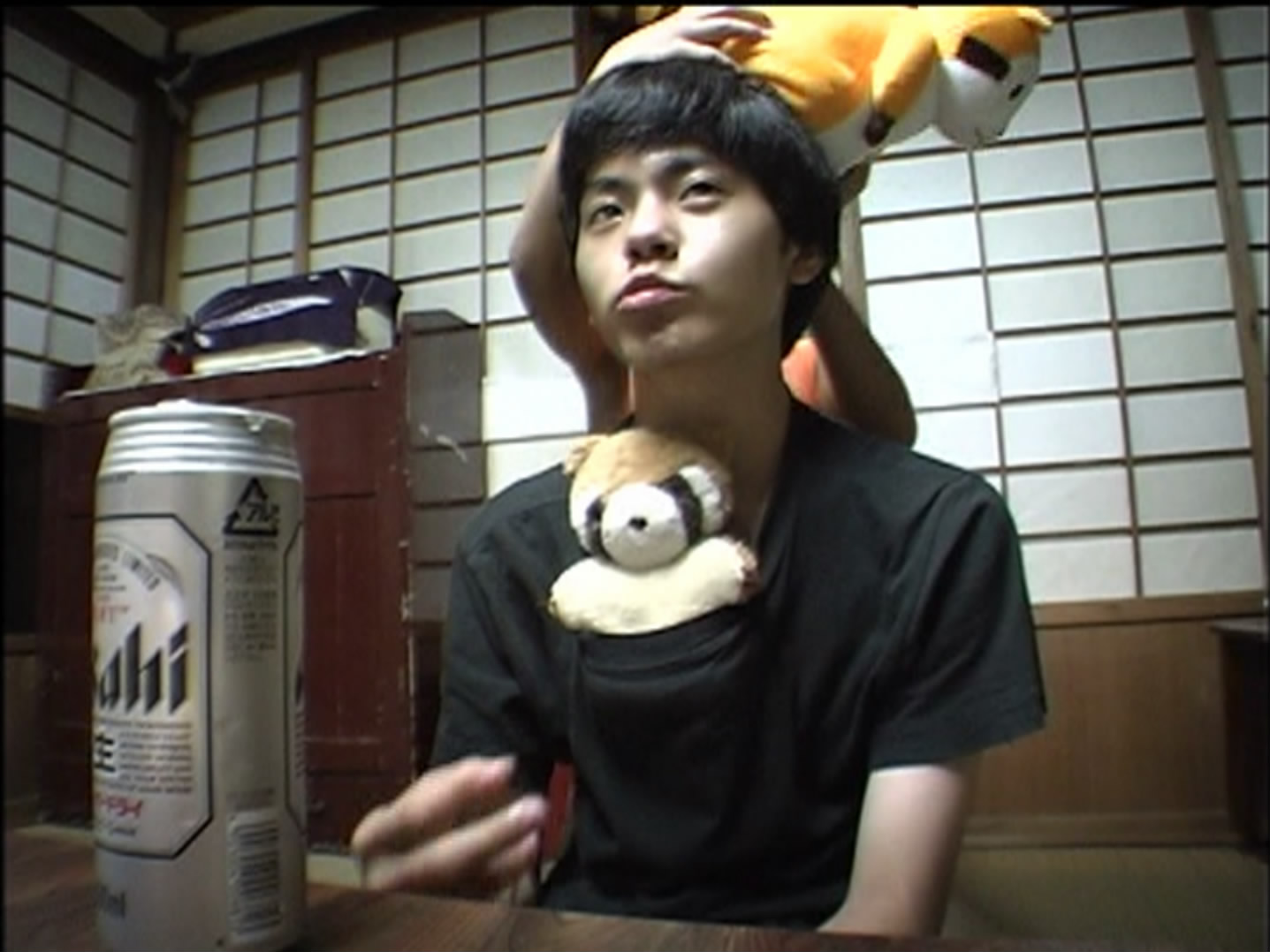 沙罗双树剧照的剧照