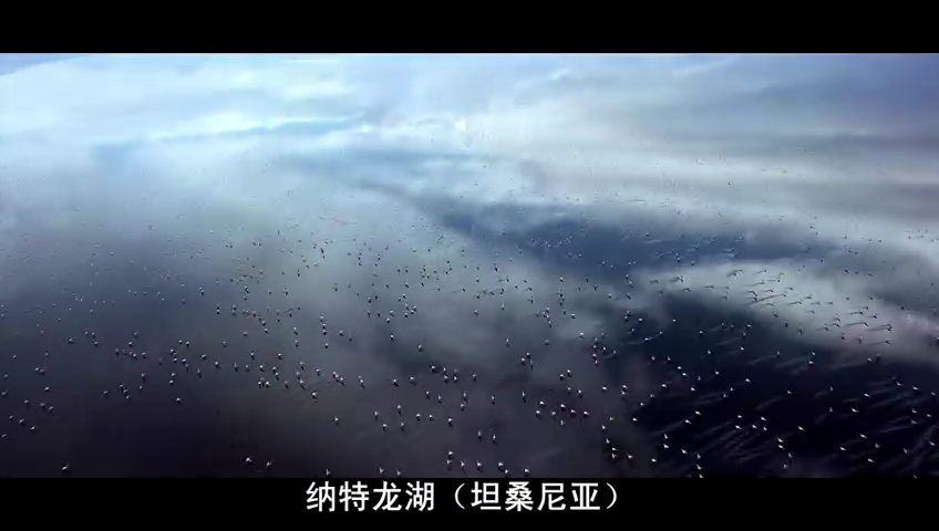 天地玄黄剧照的剧照