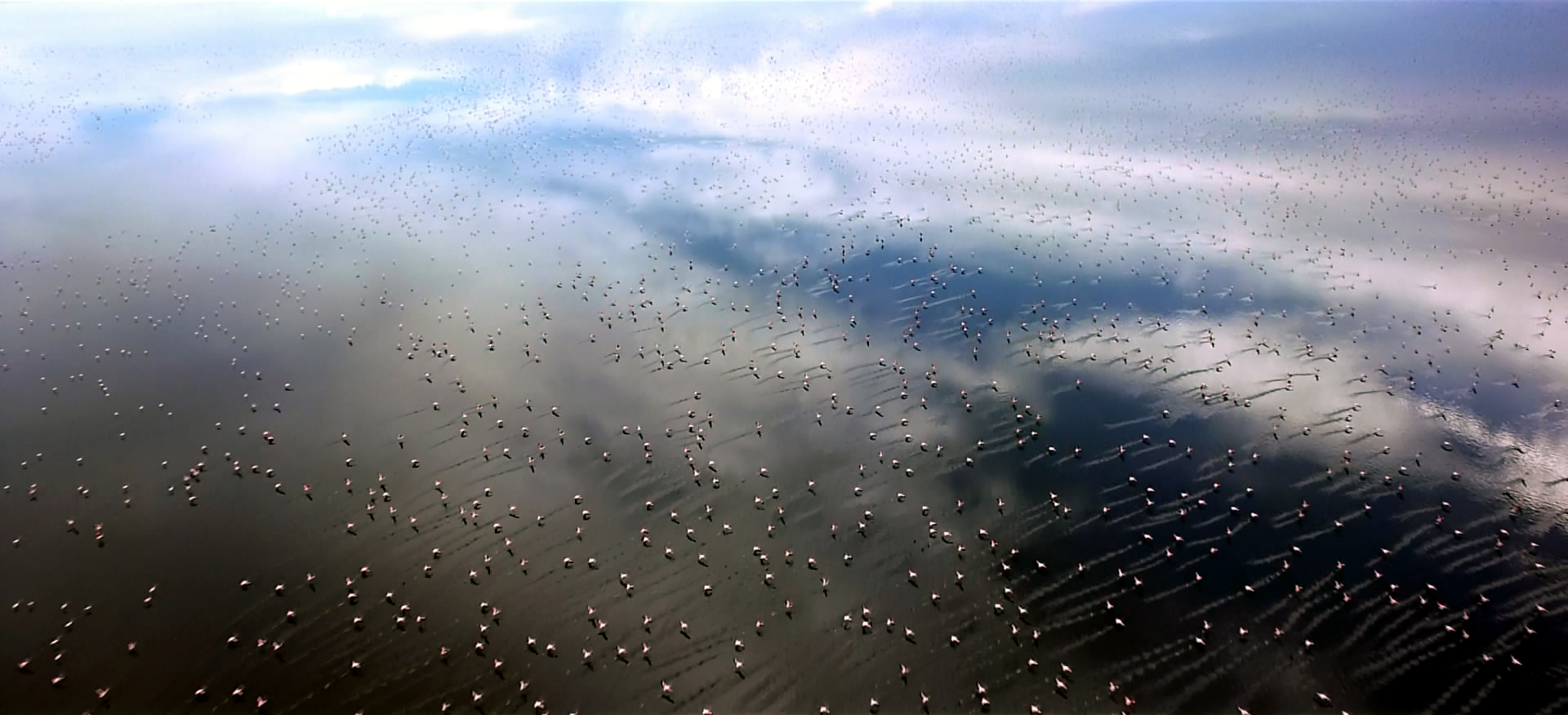 天地玄黄剧照的剧照